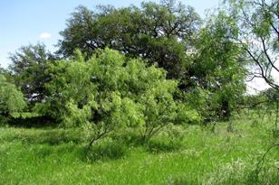 6630 FM183, Evant, TX 76525 - Photo 19