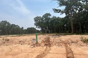 320 Peace Lily Wy, Tolar, TX 76476 - Photo 1