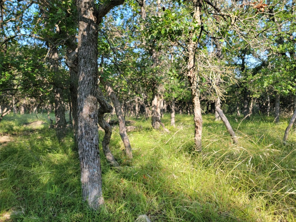 Tbd Thunderbird Dr, May, TX 76857 MLS 20350759 Coldwell Banker