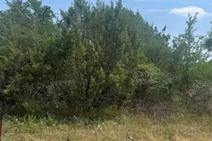 3416 Alabama Trail, Granbury, TX 76048 - Photo 1