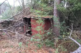 000 Forest Hill Dr, Frankston, TX 75763 - Photo 5