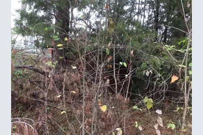 000 Forest Hill Drive, Frankston, TX 75763 - Photo 3