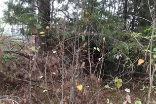 000 Forest Hill Dr, Frankston, TX 75763 - Photo 3