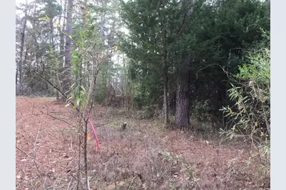 000 Forest Hill Drive, Frankston, TX 75763 - Photo 9