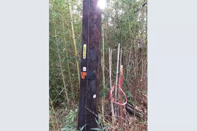 000 Forest Hill Drive, Frankston, TX 75763 - Photo 7