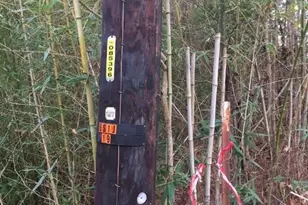 000 Forest Hill Dr, Frankston, TX 75763 - Photo 7