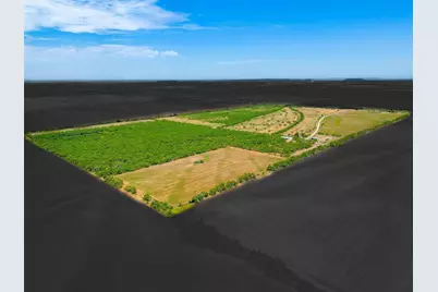 981 County Road 177, Lawn, TX 79530 - Photo 3