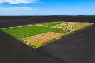 981 Co Rd 177, Lawn, TX 79530 - Photo 3