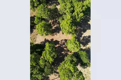 3146 Shadow Pine Drive, LaRue, TX 75770 - Photo 11