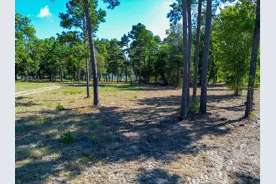 3146 Shadow Pine Drive, LaRue, TX 75770 - Photo 9