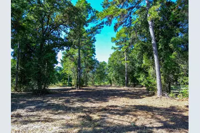 3146 Shadow Pine Drive, LaRue, TX 75770 - Photo 7