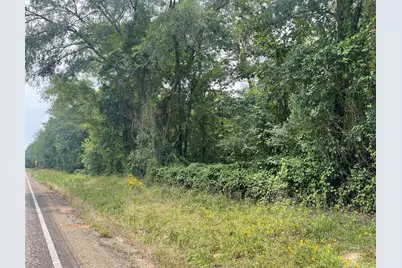 Tbd Fm 1519, Pittsburg, TX 75686 - Photo 1