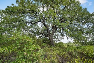 Lot 15 Double B Ranch Road S, Perrin, TX 76486 - Photo 7