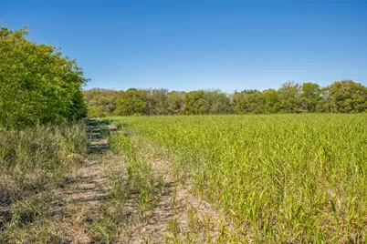 000 View Road, Sanger, TX 76266 - Photo 7