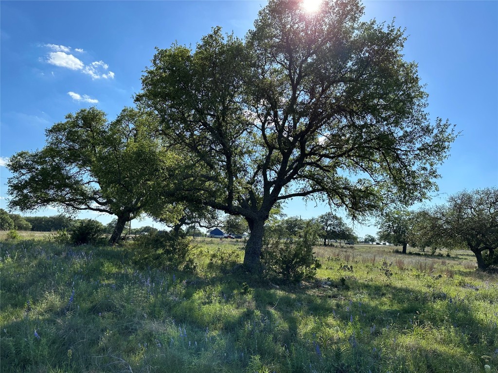 Lot 122 Blackbuck Ridge Dr, Lampasas, TX 76550 MLS 20460391
