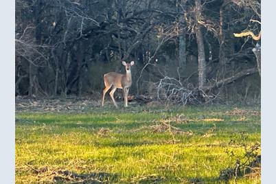 Lot 17 Grison Circle, Corsicana, TX 75109 - Photo 3