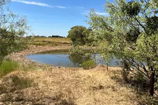 1410 Co Rd 239, Rising Star, TX 76471 - Photo 23