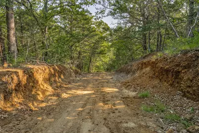 6650 State Hwy 56 Highway, Bells, TX 75414 - Photo 7