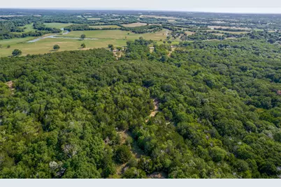 6650 State Hwy 56 Highway, Bells, TX 75414 - Photo 13