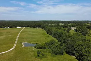 10142 FM773, Murchison, TX 75778 - Photo 1