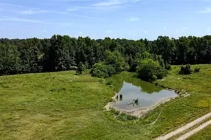 10142 FM773, Murchison, TX 75778 - Photo 1