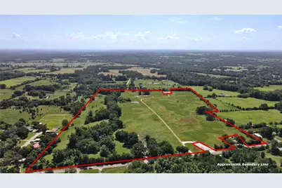 10142 Fm 773, Murchison, TX 75778 - Photo 3