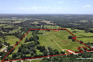 10142 FM773, Murchison, TX 75778 - Photo 3