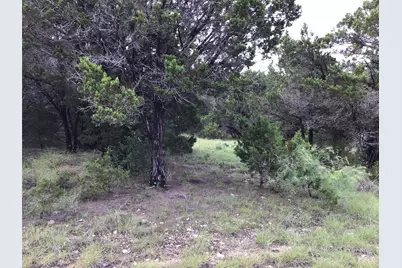 43020 Whisperwood Drive, Whitney, TX 76692 - Photo 5