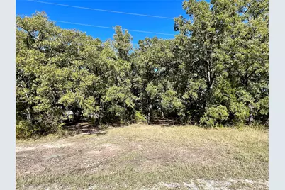 0 Water Oak Road, Trinidad, TX 75163 - Photo 5