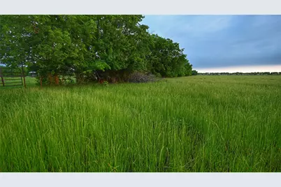 Tbd Fm 1752 Road, Whitewright, TX 75491 - Photo 1
