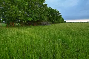 Tbd Fm 1752 Rd, Whitewright, TX 75491 - Photo 1