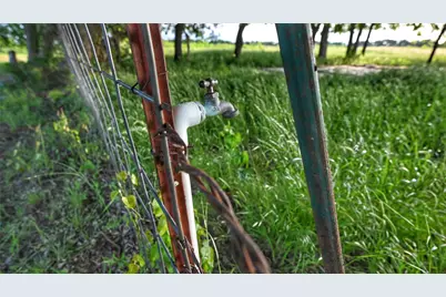 Tbd Fm 1752 Road, Whitewright, TX 75491 - Photo 11