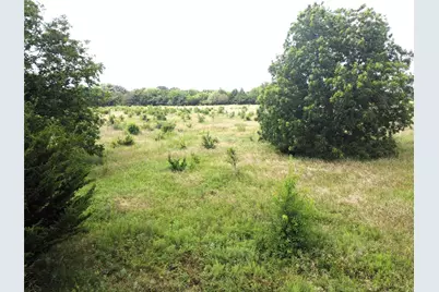 Lot 6 Cr 1400, Ravenna, TX 75476 - Photo 3