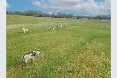 2549 N Hwy 101, Chico, TX 76431 - Photo 15