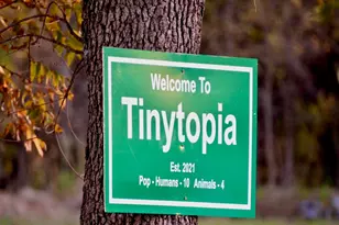 504 Green St, Bowie, TX 76230 - Photo 13