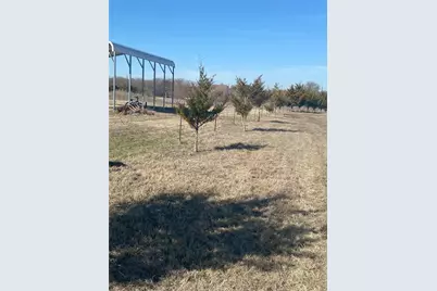 8434 County Road 501, Blue Ridge, TX 75424 - Photo 9