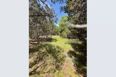 1065 Bluegill Ridge, Bluff Dale, TX 76433 - Photo 3