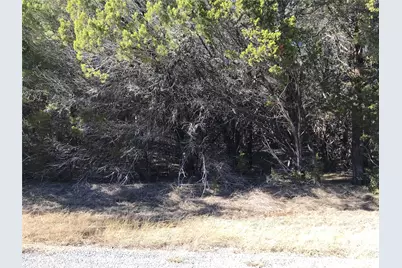 25060 Southhill Drive, Whitney, TX 76692 - Photo 11