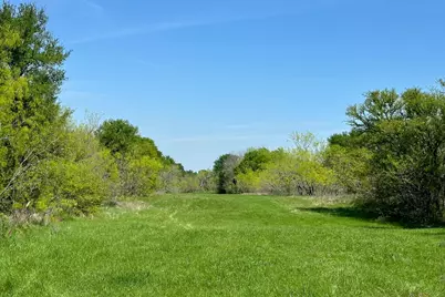 Tbd 149.71 Acres SE Cr 1240, Streetman, TX 75859 - Photo 21