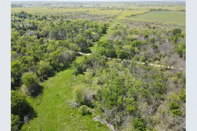 Tbd 149.71 Acres SE Cr 1240, Streetman, TX 75859 - Photo 17