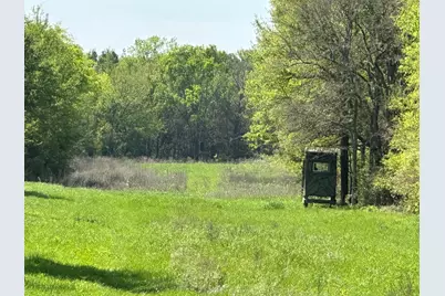 Tbd 149.71 Acres SE Cr 1240, Streetman, TX 75859 - Photo 31