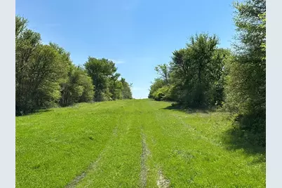 Tbd 149.71 Acres SE Cr 1240, Streetman, TX 75859 - Photo 27