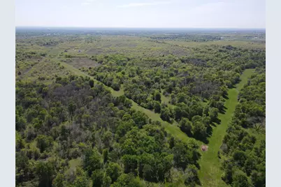 Tbd 149.71 Acres SE Cr 1240, Streetman, TX 75859 - Photo 5