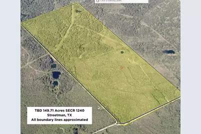 Tbd 149.71 Acres SE Cr 1240, Streetman, TX 75859 - Photo 3
