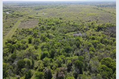 Tbd 149.71 Acres SE Cr 1240, Streetman, TX 75859 - Photo 7