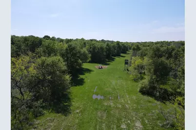 Tbd 149.71 Acres SE Cr 1240, Streetman, TX 75859 - Photo 13