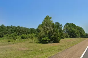 0 Hwy 155, Avinger, TX 68846 - Photo 7