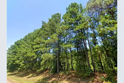 0 Hwy 155, Avinger, TX 68846 - Photo 3