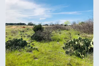 Lot 220 Oak Tree Drive, Possum Kingdom Lake, TX 76449 - Photo 1