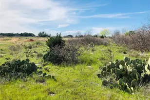 Lot 220 Oak Tree Dr, Possum Kingdom Lake, TX 76449 - Photo 1